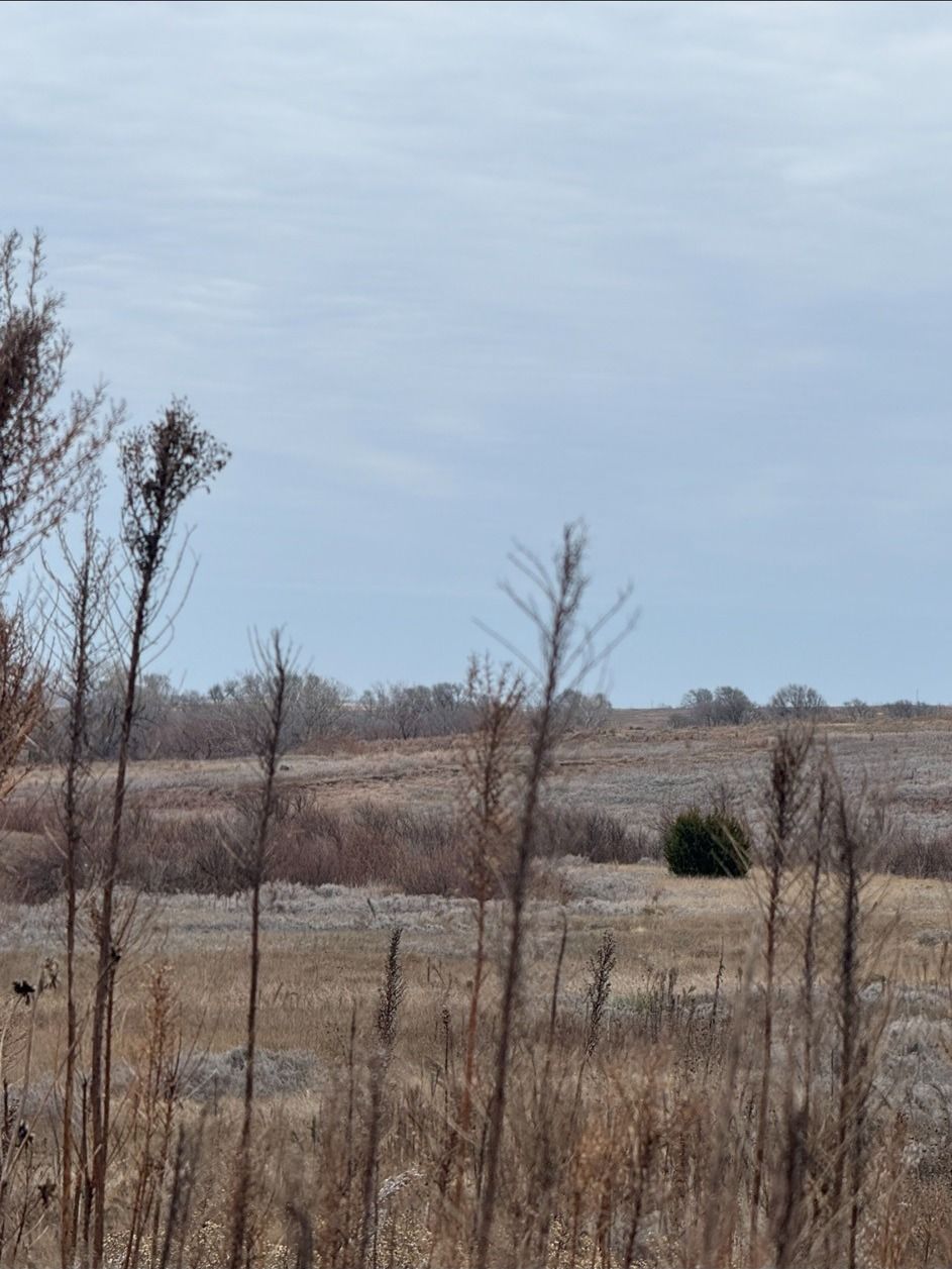 Brushy draws and cover on the Tine Flies whitetail ground