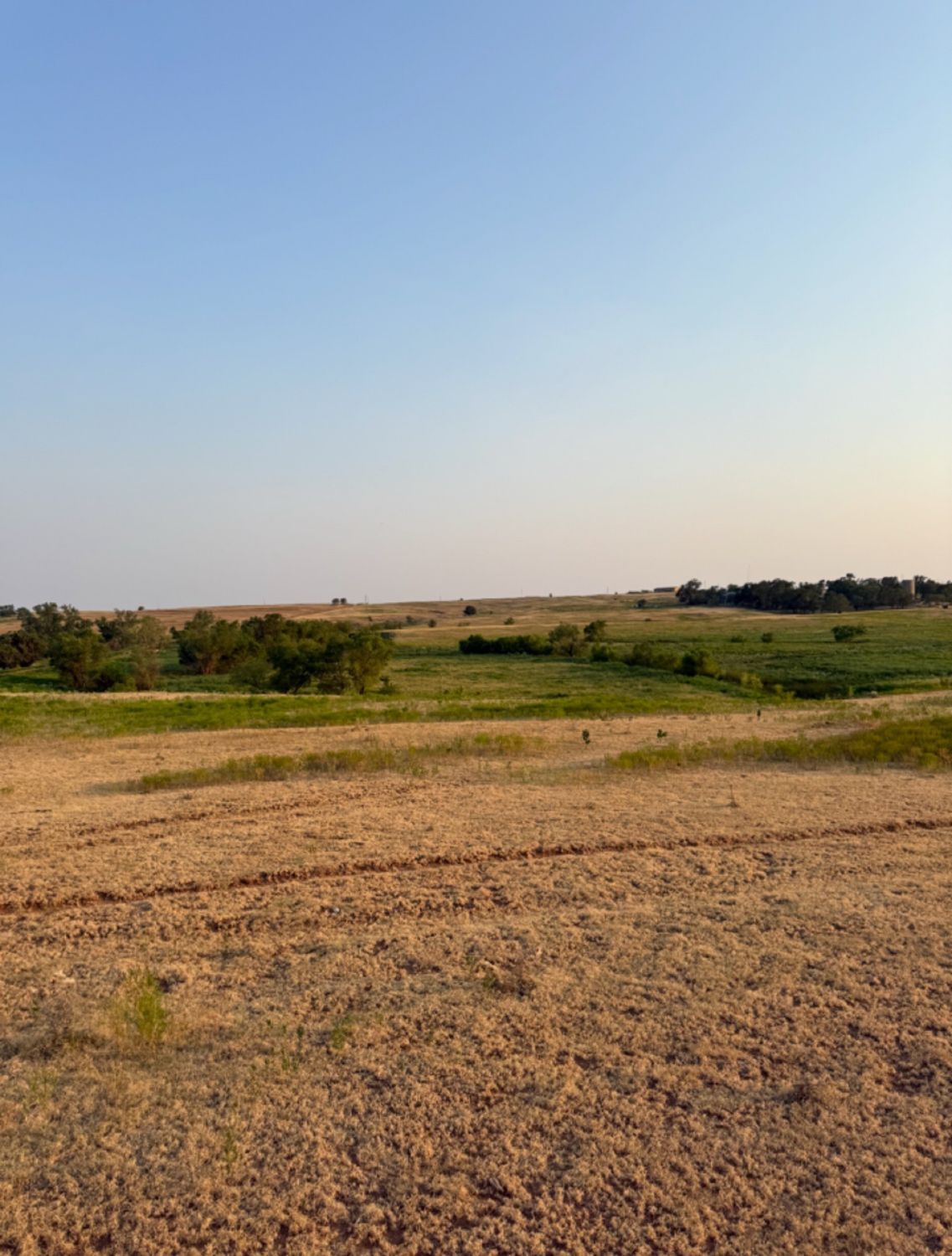 Agricultural field and river-bottom whitetail ground in western Oklahoma