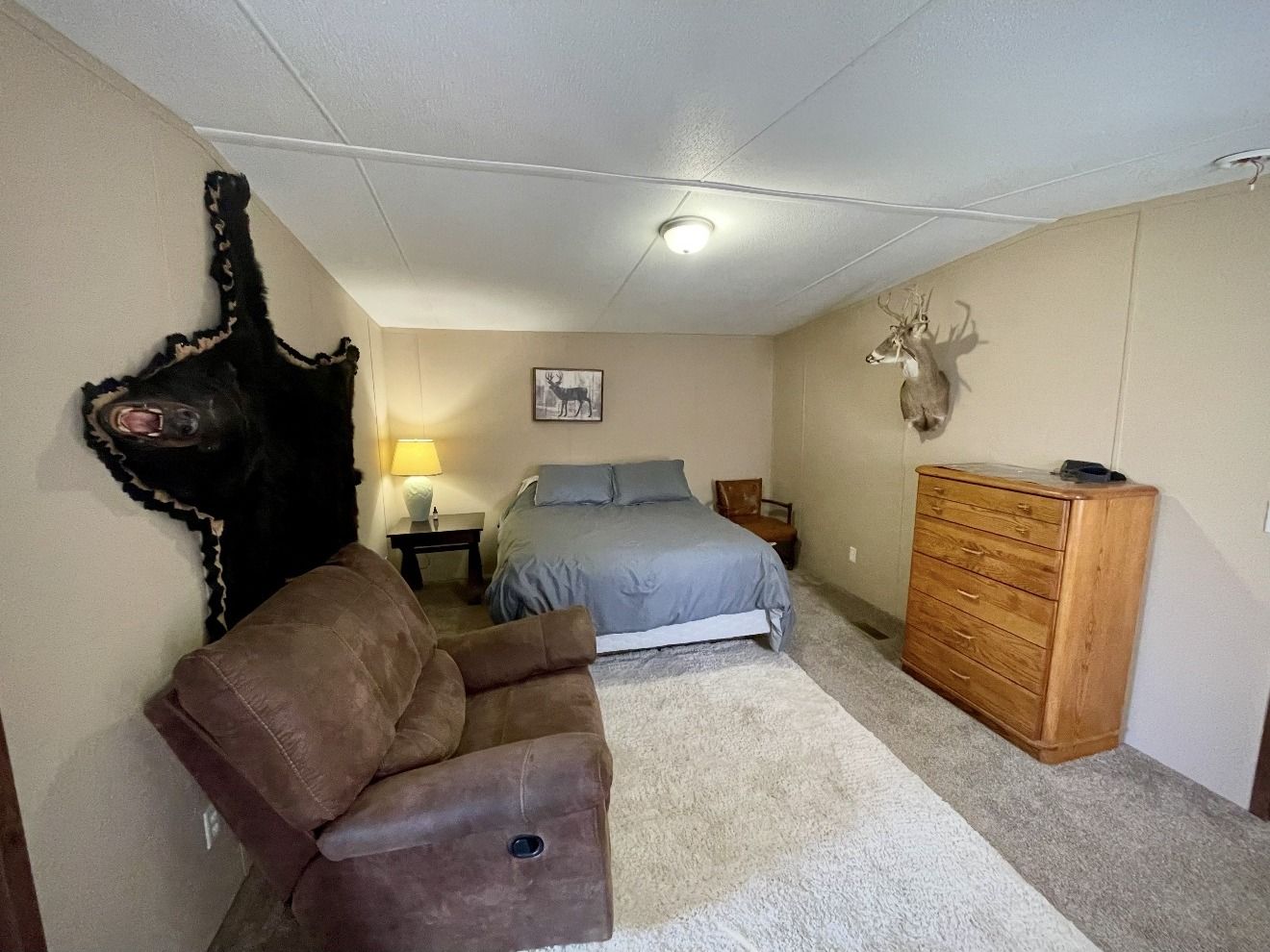 A camp bedroom with a black bear hide and whitetail mount at our Woods County camp