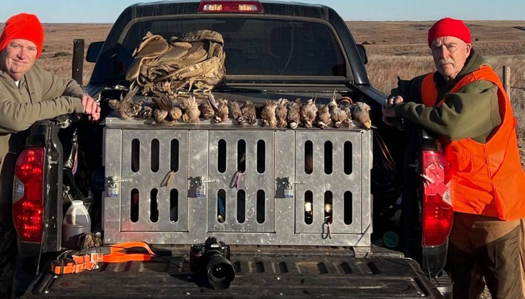 Hunters and dog boxes at the truck on the prairie