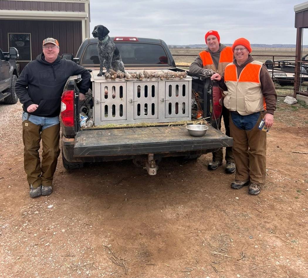 Hunters and dogs at the truck between covey rises