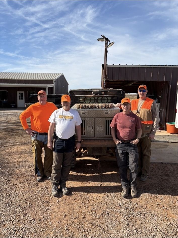 Wild bird cover on the Northwest Oklahoma property