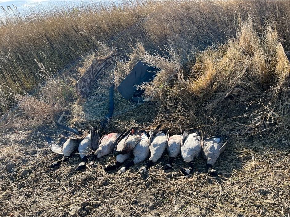 A strap of ducks after a guided Oklahoma morning hunt