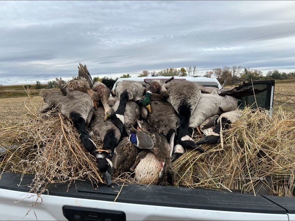 Ducks and geese loaded up after an Oklahoma waterfowl hunt